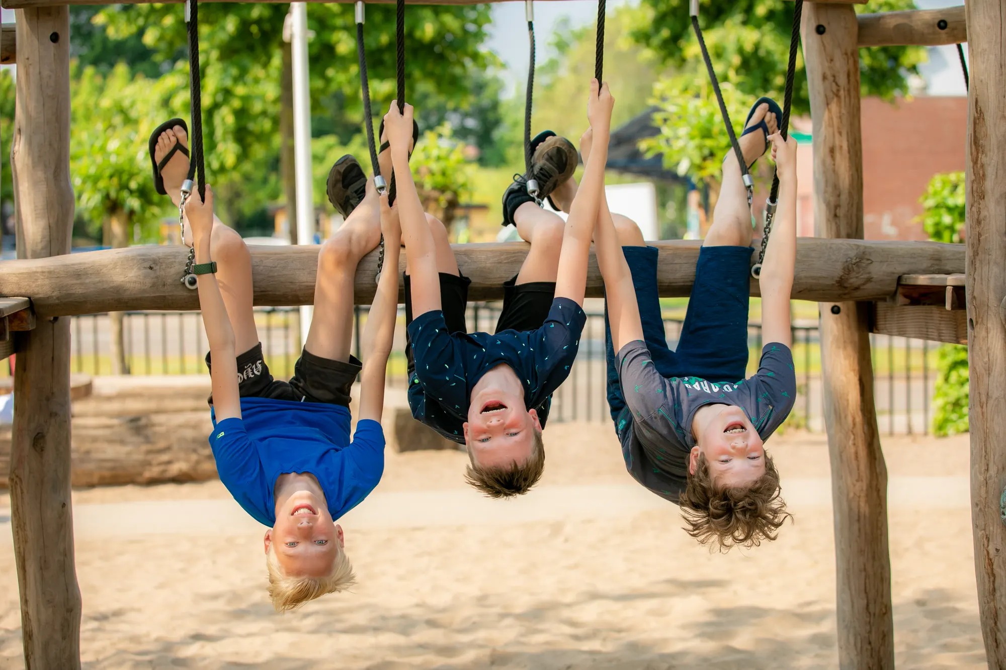 3 leerlingen de wonderboom